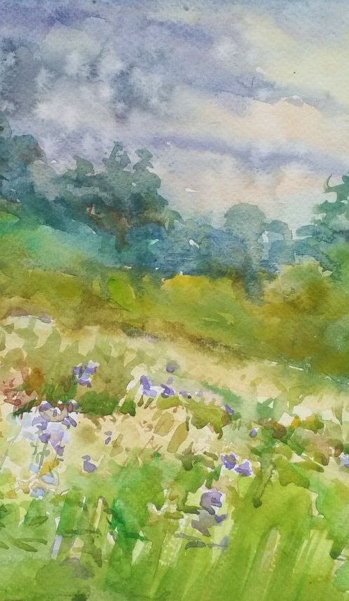 Rainy sketch with blue bells / Summer rain Meadow landscape Watercolor sketch by Olha Malko