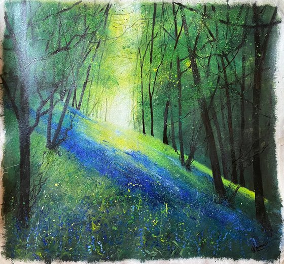 Spring, Light Through Bluebell Woodland