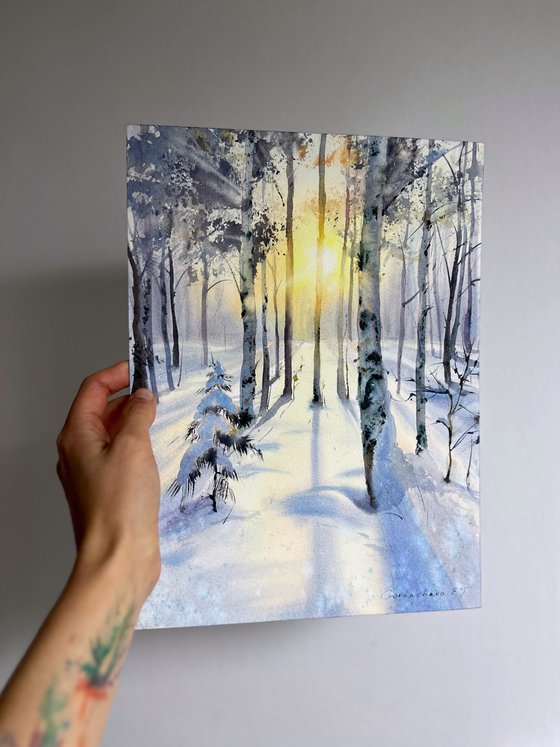 Birch grove in winter glow