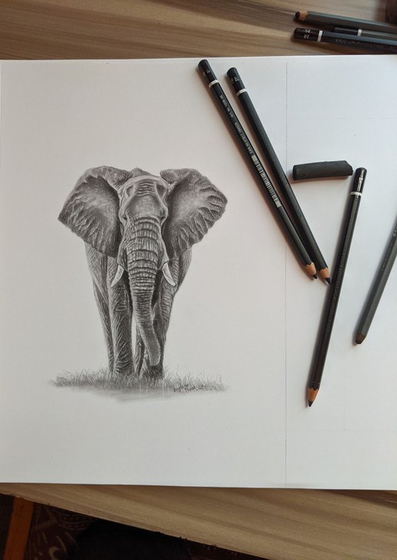 ELEPHANT