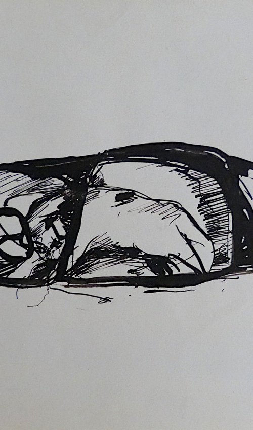 The dog sleeping in the car, 21x29 cm by Frederic Belaubre