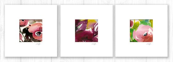 Abstract Florals Collection 3 - 3 Flower Paintings in mats by Kathy Morton Stanion