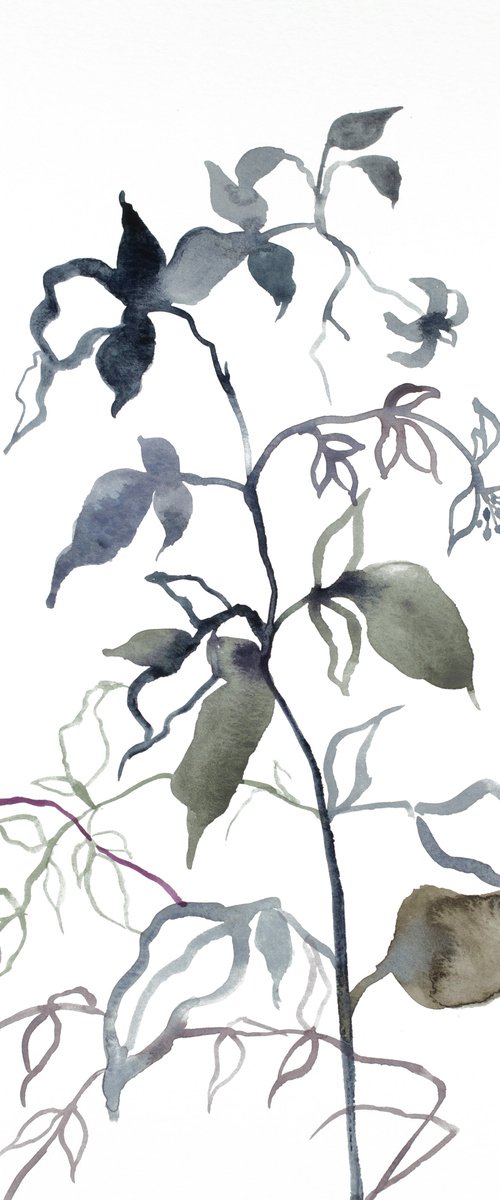 Plant Study No. 80 by Elizabeth Becker