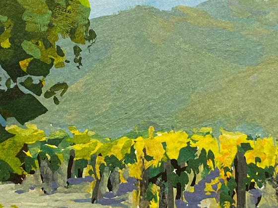 Carmel Valley Vines Landscape