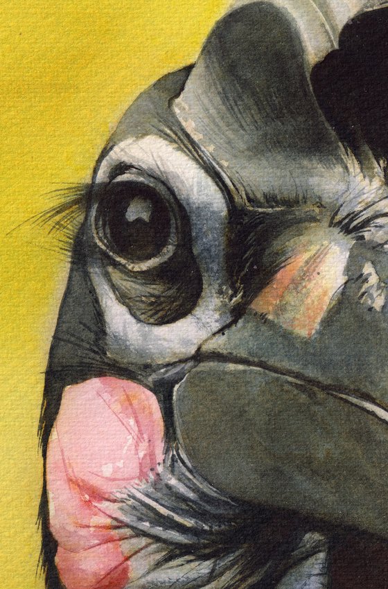 Bird CCXXXIV - Portrait