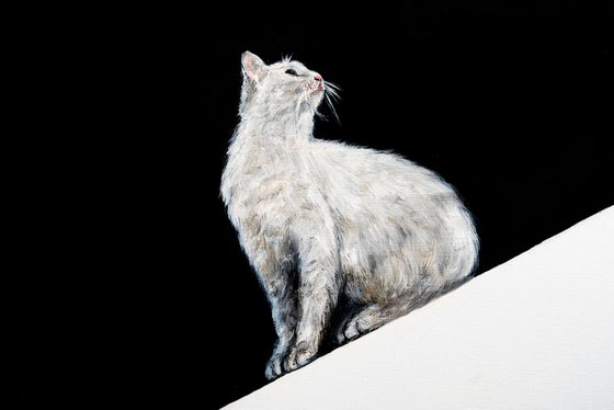 Minimalist Cat That’s Too Cool to Ignore