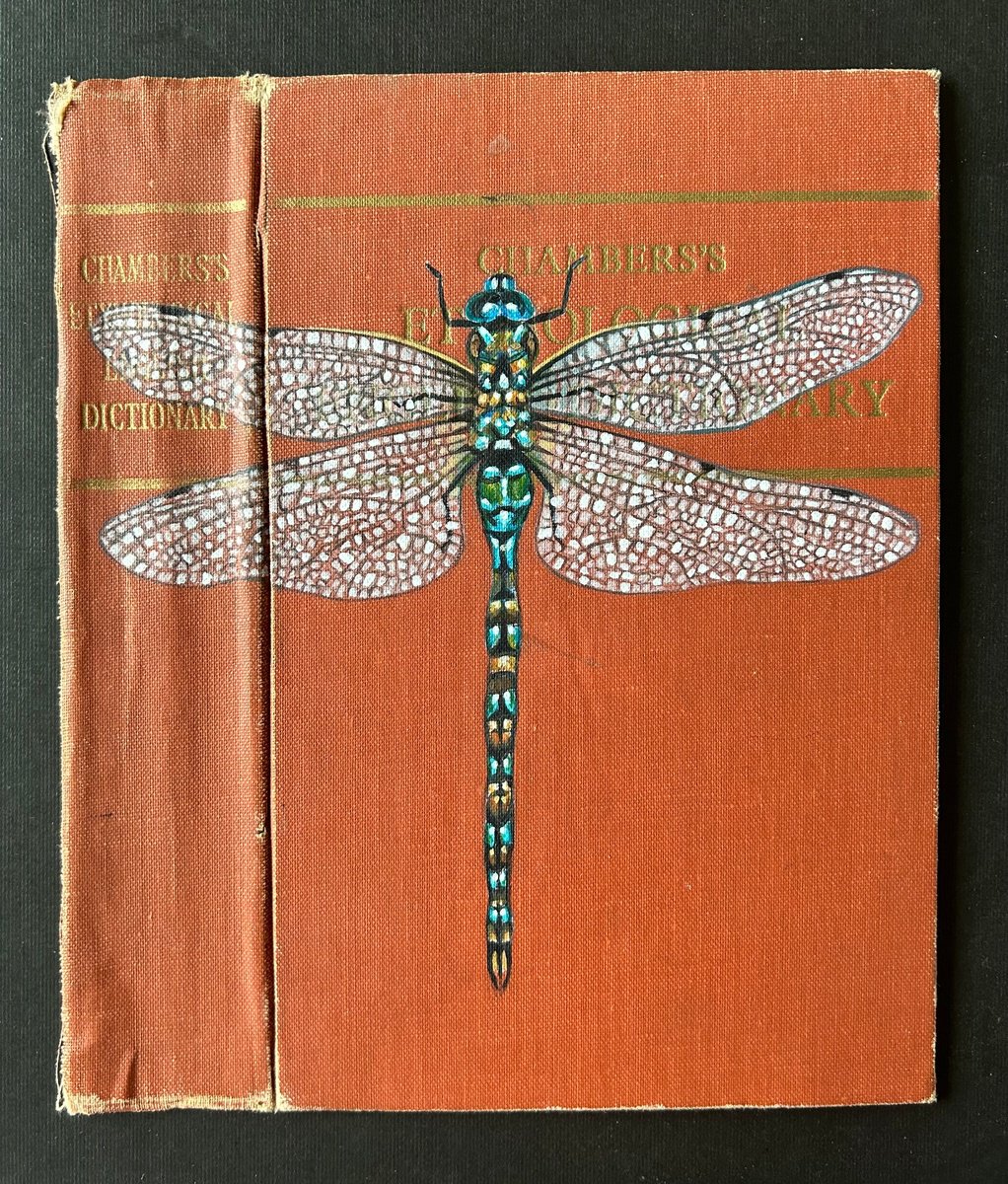 Dragonfly by Nina Shilling