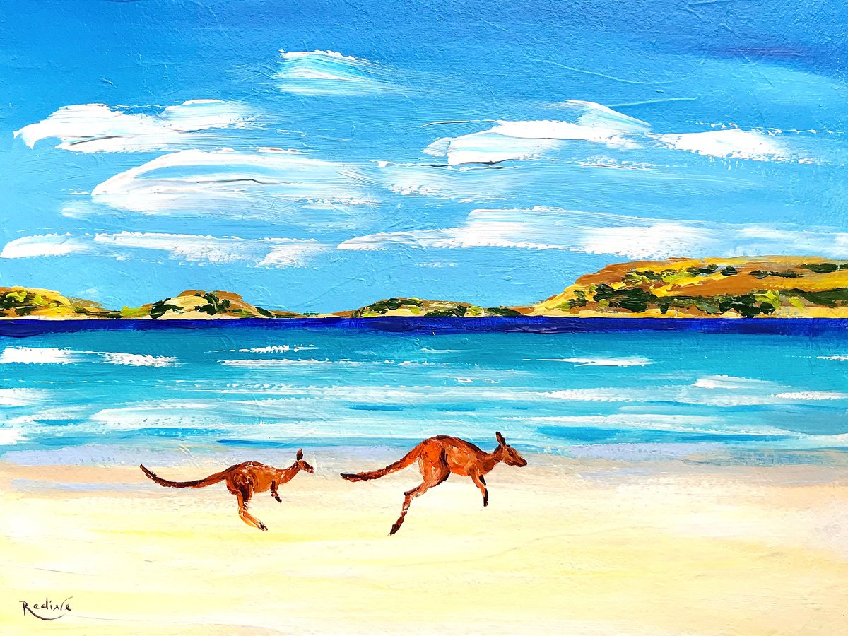 Lucky Bay kangaroos, Australia by Irina Redine