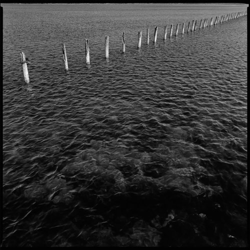 Poles In The Water by Tom Hanslien