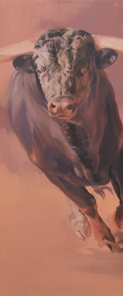 Focused III by Zil Hoque