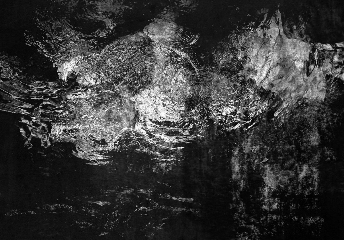 Surrealistic Abstract Photograph By Philippe Berthier, 28 X 20", Discussion Abyssale...., Original Artwork