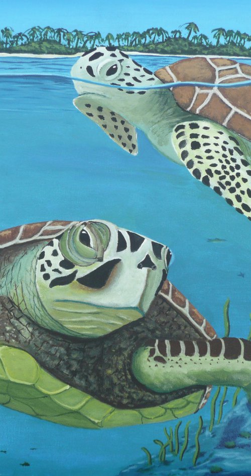 Sea Turtles by Dunphy Fine Art