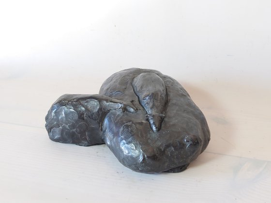 The Flow of the flock