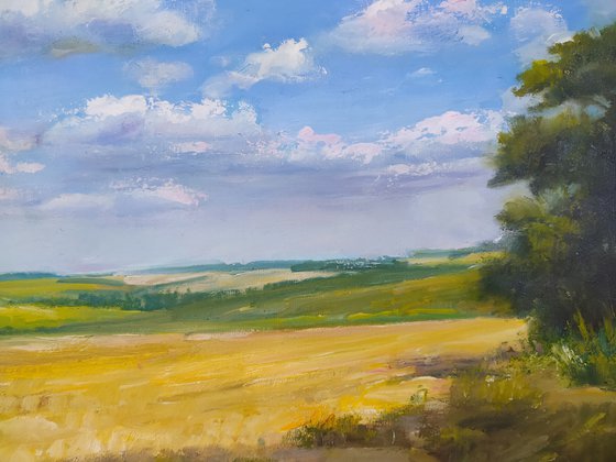 Ukrainian landscape