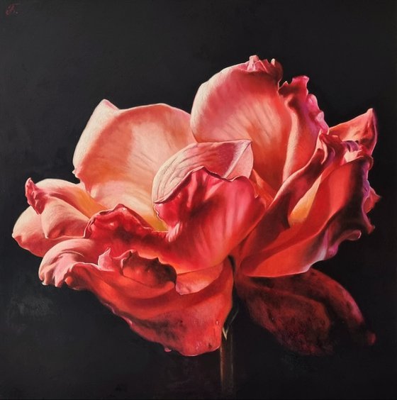 "To the light.  "  rose red flower  liGHt original painting  GIFT (2022)