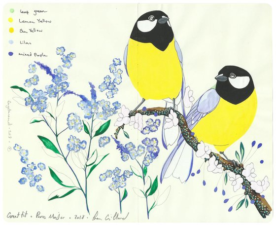 Great Tit and ForGet-Me-Not
