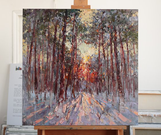 Winter Pine Forest at Sunset