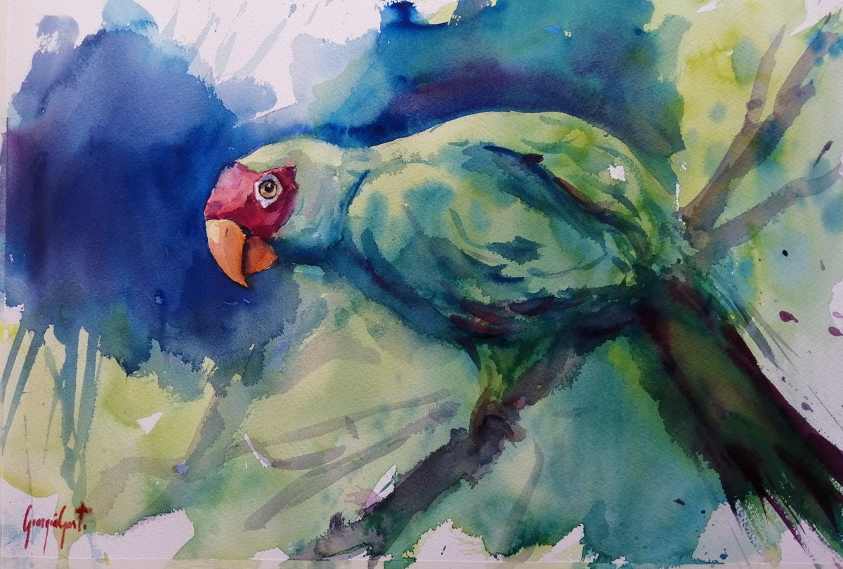 Impressionistic Watercolour , Parrot 13 By Giorgio Gosti, 21 X 14, Artwork For Sale On Artfinder