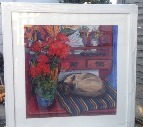 Bob the cat on the dresser