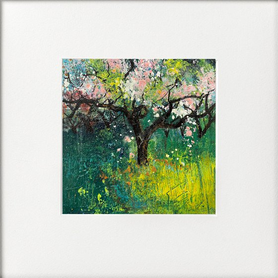 Orchard Series - Spring blossom