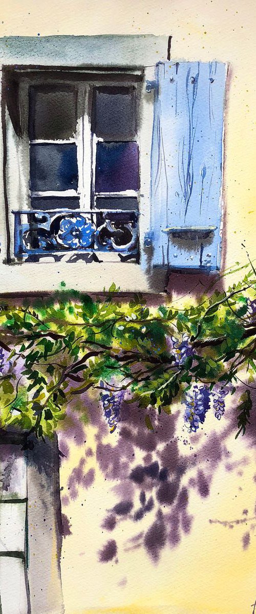 A Window from Cully by Ksenia Astakhova