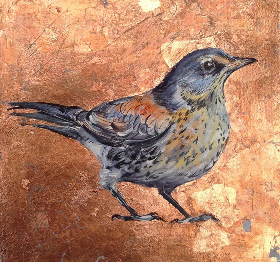 Fieldfare Bird