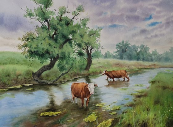 Cows at the Stream