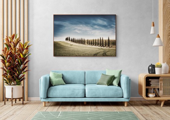 Tuscan white road with cypresses