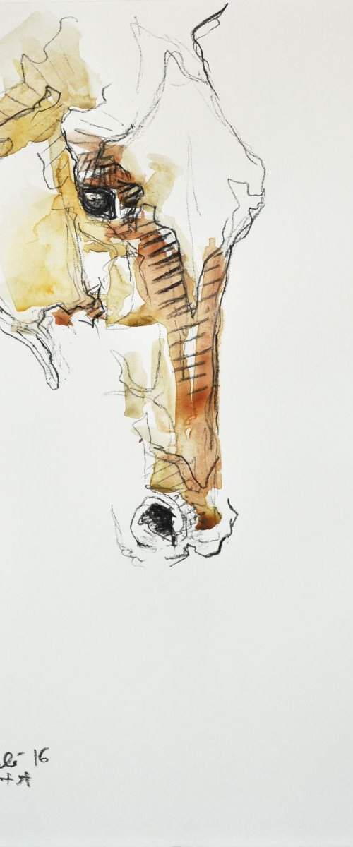 Equine Nude 17t by Benedicte Gele