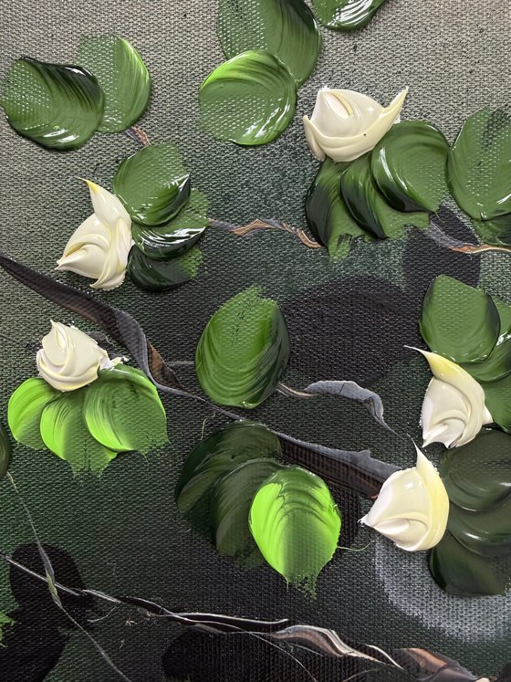 White Roses