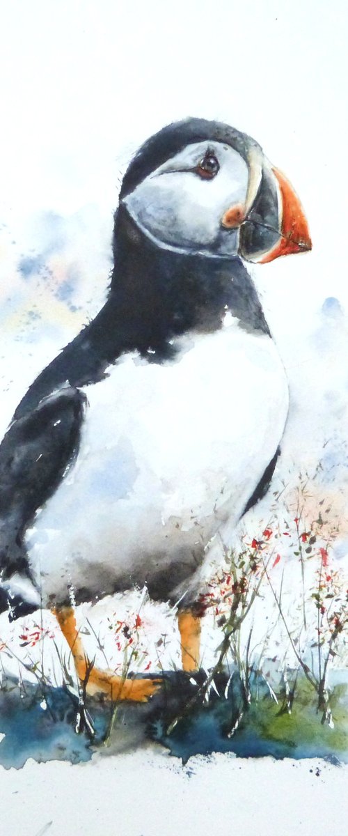 The Puffin. by Graham Kemp