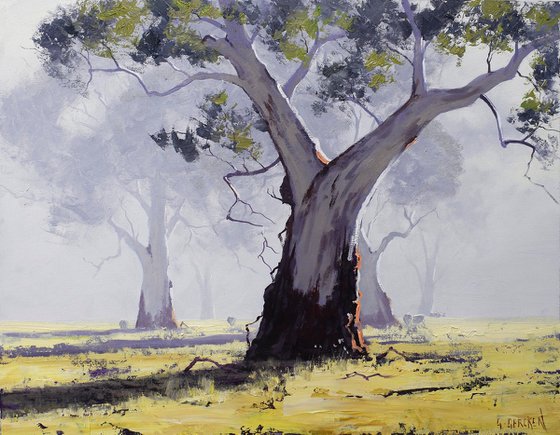 Australian Gum tree Landscape