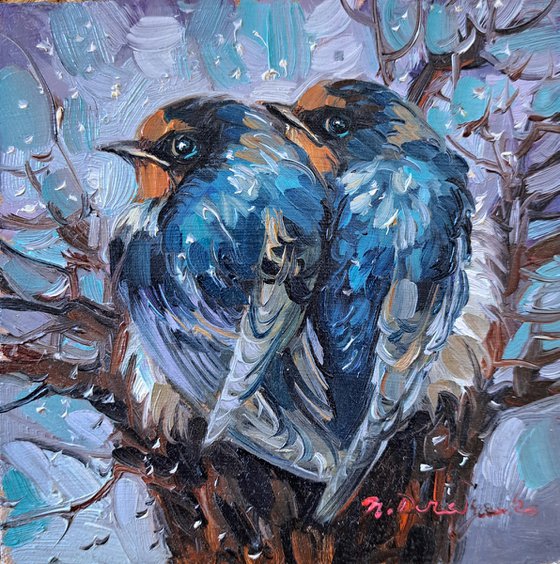 Swallow birds