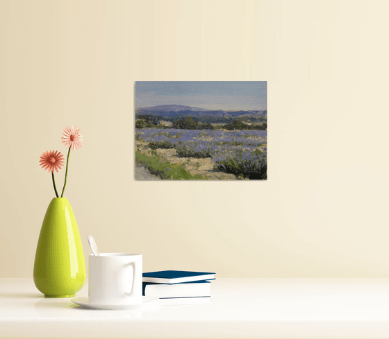 Lavender Fields near Grignan