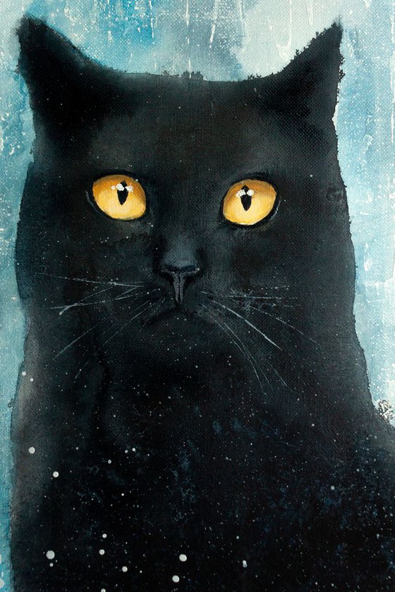 "Сat" black cat, texture, animals