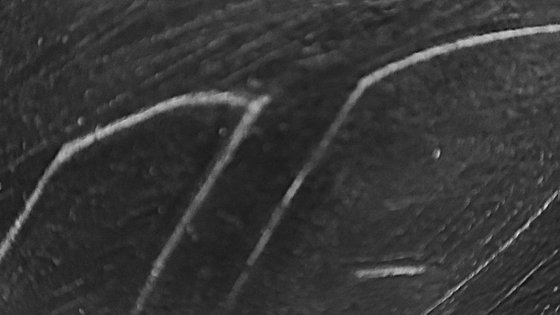 Black and White_5