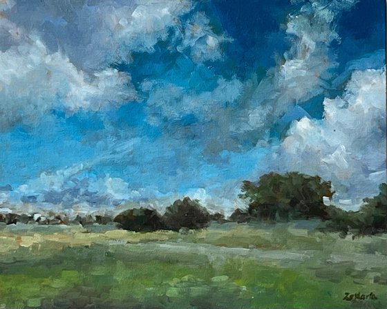 Big Summer Sky