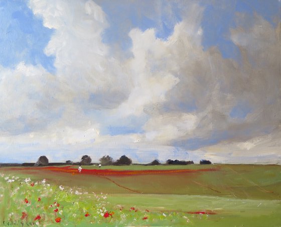 Poppy Field,