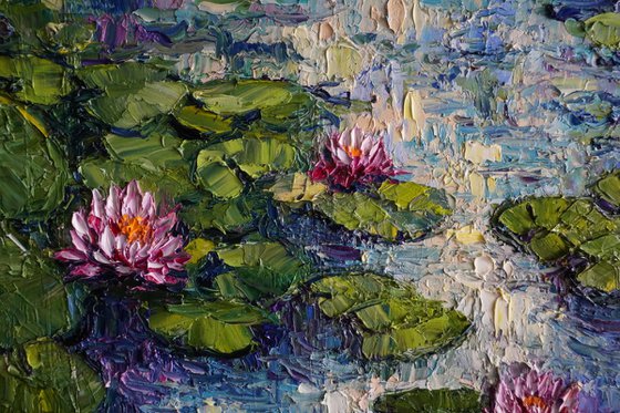 Water Lily Pond