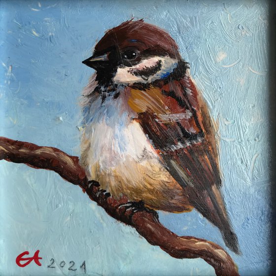 Sparrow