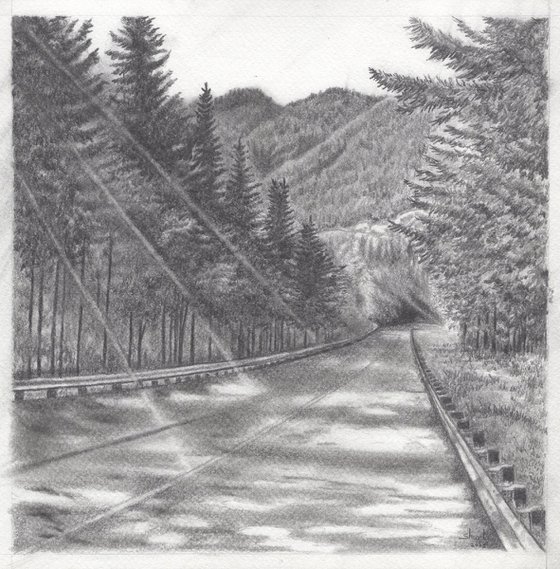 Road to Mount Rainier II