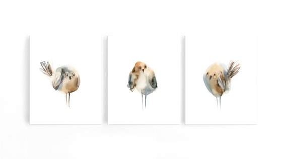 Funny birds watercolor painting 3 set