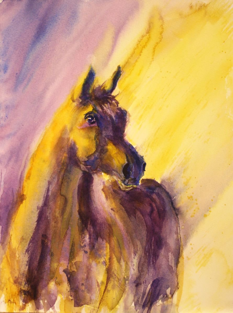 Expressive Animal Watercolour By Salana Art / Svetlana Samovarova, 9 X 12", Horse Vi, Original Artwork