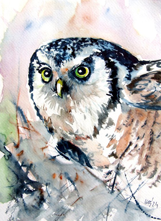 Hunting owl