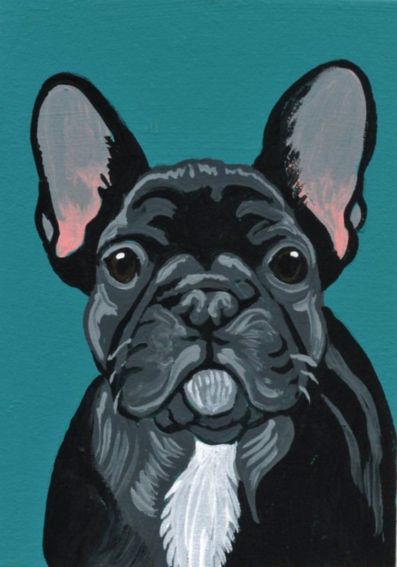 Black French Bulldog