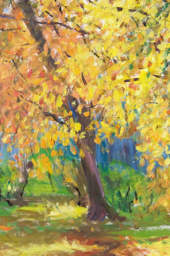 Autumn Park Impression Milan Italy Landscape 50x70cm