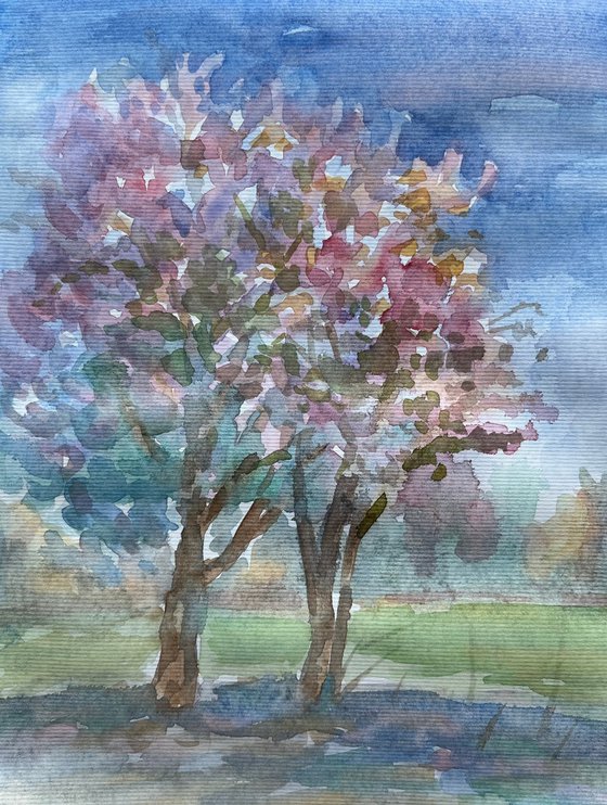Sakura tree in bloom, original watercolour artwork