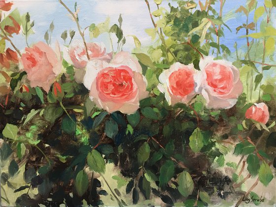 Rose Garden #04