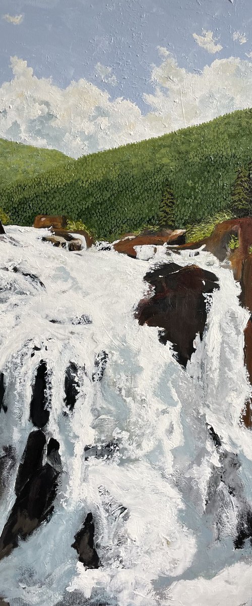 A Thunderous Roar by Anne Shaughnessy
