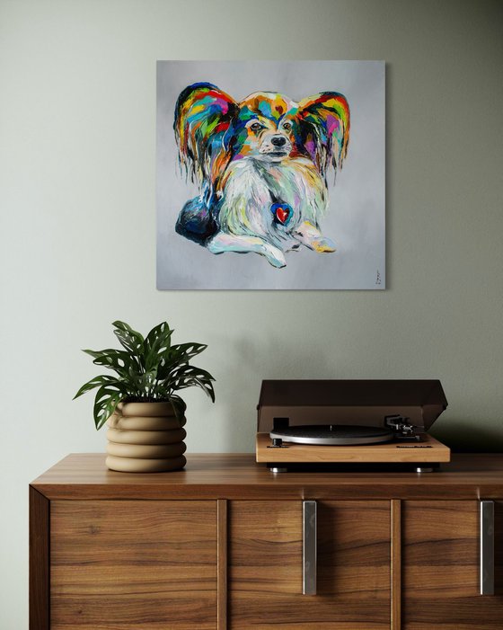 Papillon dog